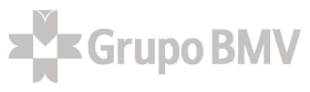 Grupo BMV Logo